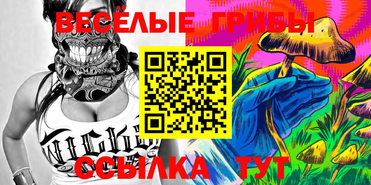 Псилоцибиновые грибы Psilocybe  даркнет сайт  Хабаровск  Вход с VPN 